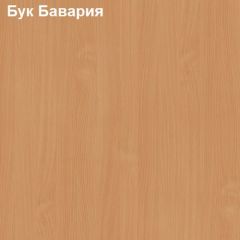 Антресоль для узкого шкафа Логика Л-14.2 в Пойковском - poikovskii.mebel24.online | фото 2