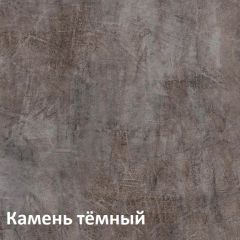 Крафт Полка для обуви 15.63 в Пойковском - poikovskii.mebel24.online | фото 4