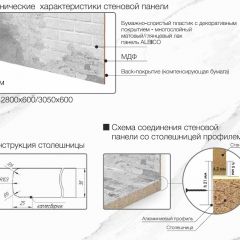 Кухонный фартук со столешницей (А-011) в едином стиле (3050 мм) в Пойковском - poikovskii.mebel24.online | фото 7