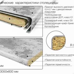 Кухонный фартук со столешницей (А-011) в едином стиле (3050 мм) в Пойковском - poikovskii.mebel24.online | фото 6