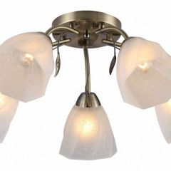Потолочная люстра Rivoli Olivia Б0052693 в Пойковском - poikovskii.mebel24.online | фото