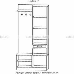 Прихожая София 1 в Пойковском - poikovskii.mebel24.online | фото 3