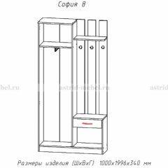 Прихожая София 8 в Пойковском - poikovskii.mebel24.online | фото 2