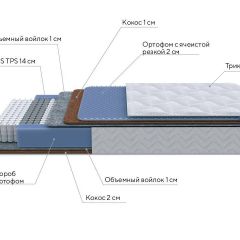 PROxSON Матрас Active Duo M/F (Ткань Трикотаж Эко) 200x200 в Пойковском - poikovskii.mebel24.online | фото 4