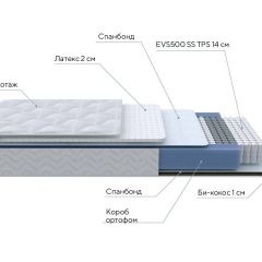 PROxSON Матрас Active Duo S/F (Ткань Трикотаж Эко) 120x190 в Пойковском - poikovskii.mebel24.online | фото 7