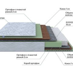 PROxSON Матрас Green M (Tricotage Dream) 120x190 в Пойковском - poikovskii.mebel24.online | фото 7