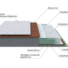 PROxSON Матрас Lux Duo M/F (Non-Stress) 120x200 в Пойковском - poikovskii.mebel24.online | фото 8