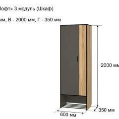 ОЛЬГА-ЛОФТ 3 Шкаф 2-х створчатый в Пойковском - poikovskii.mebel24.online | фото 4