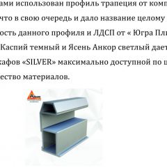 Шкаф-купе 1500 серии SILVER S1+S1+B2+PL2 (2 ящика+1 штанга+1 полка) профиль «Серебро» в Пойковском - poikovskii.mebel24.online | фото 4