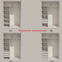 Шкаф-купе 1500 серии SILVER S1+S1+B2+PL2 (2 ящика+1 штанга+1 полка) профиль «Серебро» в Пойковском - poikovskii.mebel24.online | фото 5