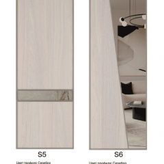 Шкаф-купе 1500 серии SILVER S1+S1+B2+PL2 (2 ящика+1 штанга+1 полка) профиль «Серебро» в Пойковском - poikovskii.mebel24.online | фото 11