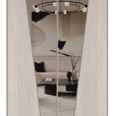 Шкаф-купе 1500 серии SILVER S1+S1+B2+PL2 (2 ящика+1 штанга+1 полка) профиль «Серебро» в Пойковском - poikovskii.mebel24.online | фото 12