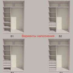 Шкаф-купе 1500 серии SILVER S3+S4+B2+PL4 (2 ящика+F обр.штанга) профиль «Серебро» в Пойковском - poikovskii.mebel24.online | фото 5