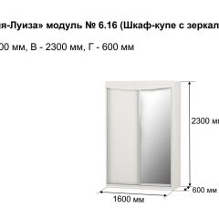 Шкаф-купе 1600 с зеркалом "Мария-Луиза 6.16" в Пойковском - poikovskii.mebel24.online | фото 4