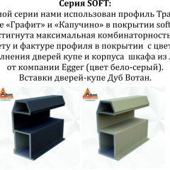 Шкаф-купе 1600 серии SOFT D6+D4+B2+PL2 (2 ящика+1штанга+1 полка) профиль «Капучино» в Пойковском - poikovskii.mebel24.online | фото 13