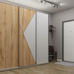 Шкаф-купе 2100 серии SOFT D2+D7+D3+B22+PL2 (по 2 ящика лев/прав+1штанга+1полка) профиль «Графит» в Пойковском - poikovskii.mebel24.online | фото