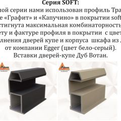 Шкаф-купе 2100 серии SOFT D2+D7+D3+B22+PL2 (по 2 ящика лев/прав+1штанга+1полка) профиль «Графит» в Пойковском - poikovskii.mebel24.online | фото 12