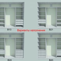 Шкаф-купе 2250 серии SILVER S3+S1+S4 B22+PL3 (по 2 ящика лев/прав+2 штанги) профиль «Серебро» в Пойковском - poikovskii.mebel24.online | фото 5