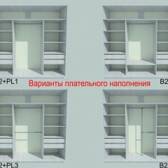 Шкаф-купе 2250 серии SILVER S3+S1+S4 B22+PL3 (по 2 ящика лев/прав+2 штанги) профиль «Серебро» в Пойковском - poikovskii.mebel24.online | фото 6