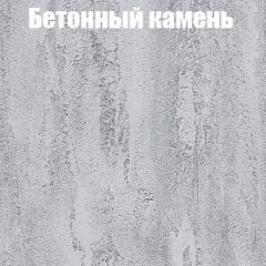 Шкаф-купе Бассо 1.0 (Дуб Крафт серый/Бетонный камень) 2 двери ЛДСП в Пойковском - poikovskii.mebel24.online | фото 3
