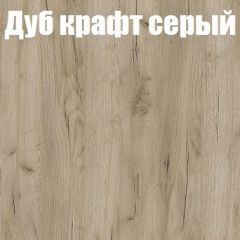 Шкаф-купе Бассо 1.0 (Дуб Крафт серый/Бетонный камень) 2 двери ЛДСП в Пойковском - poikovskii.mebel24.online | фото 4