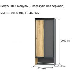 ОЛЬГА-ЛОФТ 10.1 Шкаф-купе без зеркала в Пойковском - poikovskii.mebel24.online | фото 3