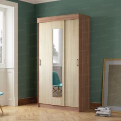 Шкаф-купе Эко (ЭРА) в Пойковском - poikovskii.mebel24.online | фото 2