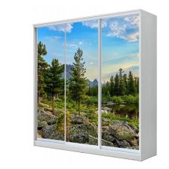 Шкаф-купе ХИТ 22-18/2-777 (620) в Пойковском - poikovskii.mebel24.online | фото 1