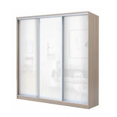 Шкаф-купе ХИТ 22-20-888 (620) в Пойковском - poikovskii.mebel24.online | фото 7