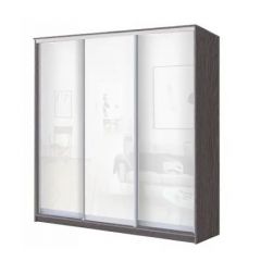 Шкаф-купе ХИТ 23-4-20-888 (420) в Пойковском - poikovskii.mebel24.online | фото 1