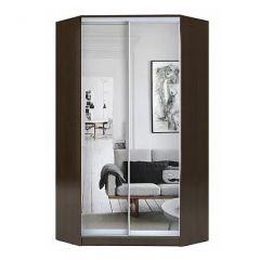 Шкаф-купе ХИТ-У-23-4-55 в Пойковском - poikovskii.mebel24.online | фото 1