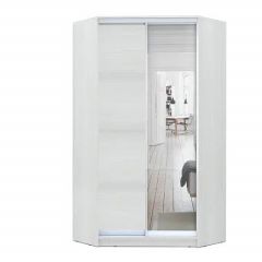 Шкаф-купе ХИТ-У-L-24-64-15 в Пойковском - poikovskii.mebel24.online | фото