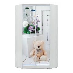 Шкаф-купе ХИТ-У-L-24-64-77 в Пойковском - poikovskii.mebel24.online | фото