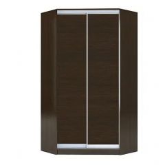 Шкаф-купе ХИТ-У-R-22-64-11 в Пойковском - poikovskii.mebel24.online | фото