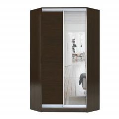 Шкаф-купе ХИТ-У-R-22-64-15 в Пойковском - poikovskii.mebel24.online | фото