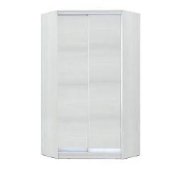 Шкаф-купе ХИТ-У-R-24-64-11 в Пойковском - poikovskii.mebel24.online | фото 1