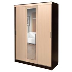 Шкаф-купе ПШ-1.3 М 1630 в Пойковском - poikovskii.mebel24.online | фото