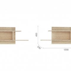 Система Стелс Полка навесная Дуб сонома в Пойковском - poikovskii.mebel24.online | фото