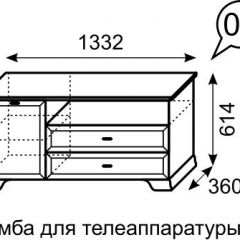 Тумба для телеаппаратуры Венеция 6 бодега в Пойковском - poikovskii.mebel24.online | фото 2