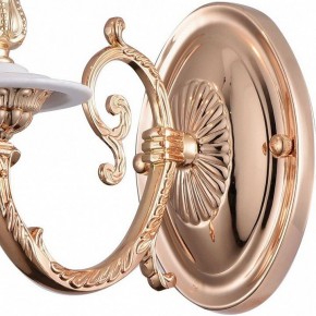 Бра Arte Lamp 8020 A8020AP-1WG в Пойковском - poikovskii.mebel24.online | фото 4