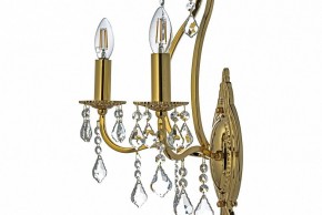 Бра Arti Lampadari Ercolano Ercolano E 2.1.2.602 G в Пойковском - poikovskii.mebel24.online | фото 6