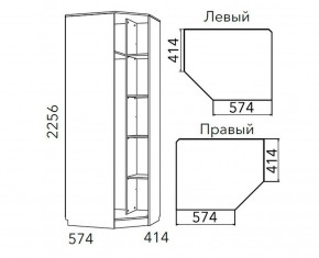 Детская Фанк Шкаф угловой Левый/Правый НМ 013.04-02 М в Пойковском - poikovskii.mebel24.online | фото 3