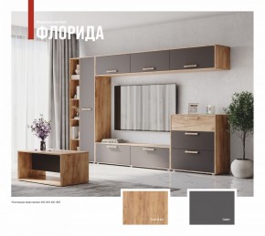 ФЛОРИДА Гостиная (модульная) дуб золотой/графит в Пойковском - poikovskii.mebel24.online | фото
