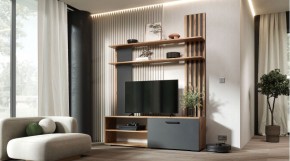 КАРОЛИНА Гостиная в Пойковском - poikovskii.mebel24.online | фото