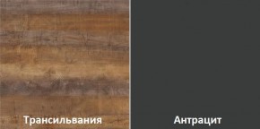 Кухонный гарнитур угловой Трансильвания 2600х1600 мм (Стол. 26 мм) в Пойковском - poikovskii.mebel24.online | фото 3