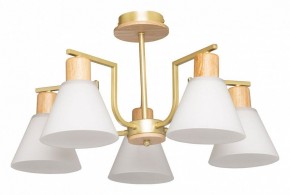 Люстра на штанге De City Дэла 45 635016505 в Пойковском - poikovskii.mebel24.online | фото