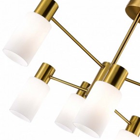 Люстра на штанге EVOLUCE Gessi SLE1139-302-06 в Пойковском - poikovskii.mebel24.online | фото 3