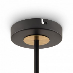 Люстра на штанге Freya Hats FR5370CL-04B в Пойковском - poikovskii.mebel24.online | фото 6