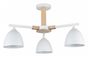 Люстра на штанге Lumion Colange 8095/3C в Пойковском - poikovskii.mebel24.online | фото