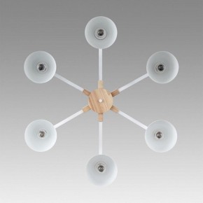 Люстра на штанге Lumion Colange 8095/6C в Пойковском - poikovskii.mebel24.online | фото 4